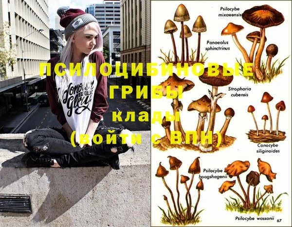 круглые Алексин